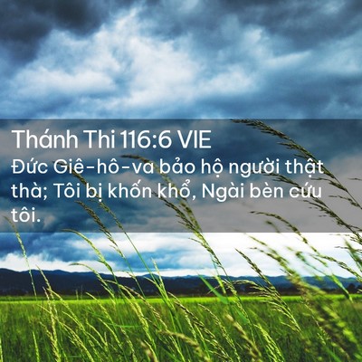 Picture 02 - Thánh Thi 116:6 VIE - Đức Giê-hô-va bảo hộ người thật - Bible Verse Picture