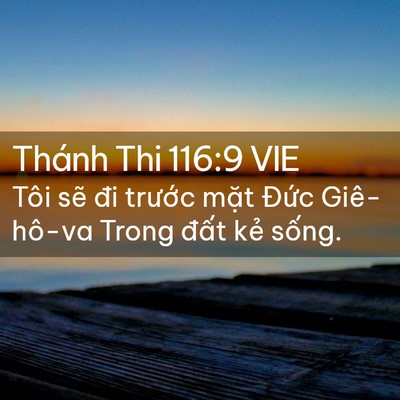 Picture 02 - Thánh Thi 116:9 VIE - Tôi sẽ đi trước mặt Đức Giê-hô-va - Bible Verse Picture