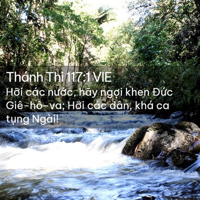 Picture 02 - Thánh Thi 117:1 VIE - Hỡi các nước, hãy ngợi khen Đức - Bible Verse Picture