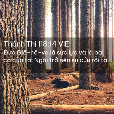 Picture 02 - Thánh Thi 118:14 VIE - Đức Giê-hô-va là sức lực và là bài - Bible Verse Picture