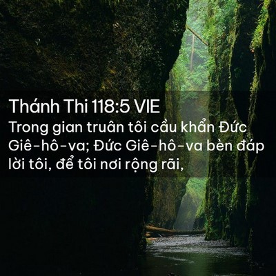 Picture 02 - Thánh Thi 118:5 VIE - Trong gian truân tôi cầu khẩn Đức - Bible Verse Picture