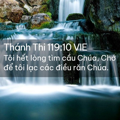 Picture 02 - Thánh Thi 119:10 VIE - Tôi hết lòng tìm cầu Chúa, Chớ để - Bible Verse Picture