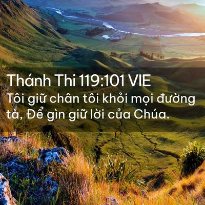 Picture 02 - Thánh Thi 119:101 VIE - Tôi giữ chân tôi khỏi mọi đường tà, - Bible Verse Picture