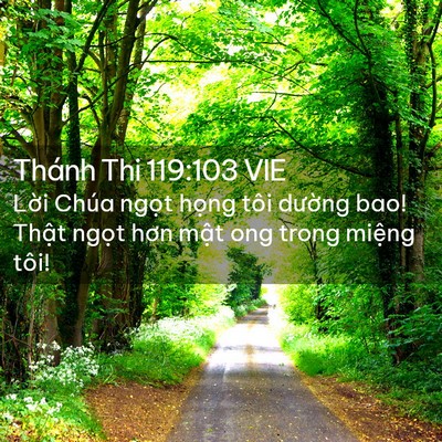 Picture 02 - Thánh Thi 119:103 VIE - Lời Chúa ngọt họng tôi dường bao! - Bible Verse Picture