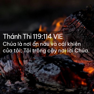 Picture 02 - Thánh Thi 119:114 VIE - Chúa là nơi ẩn náu và cái khiên của - Bible Verse Picture