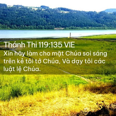 Picture 02 - Thánh Thi 119:135 VIE - Xin hãy làm cho mặt Chúa soi sáng trên - Bible Verse Picture