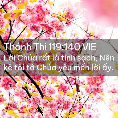 Picture 02 - Thánh Thi 119:140 VIE - Lời Chúa rất là tinh sạch, Nên kẻ tôi - Bible Verse Picture
