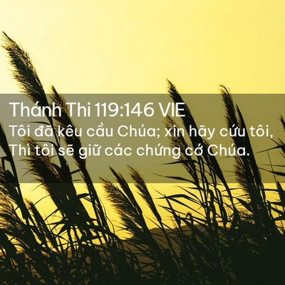 Picture 02 - Thánh Thi 119:146 VIE - Tôi đã kêu cầu Chúa; xin hãy cứu tôi, - Bible Verse Picture