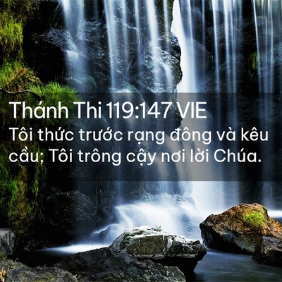 Picture 02 - Thánh Thi 119:147 VIE - Tôi thức trước rạng đông và kêu - Bible Verse Picture