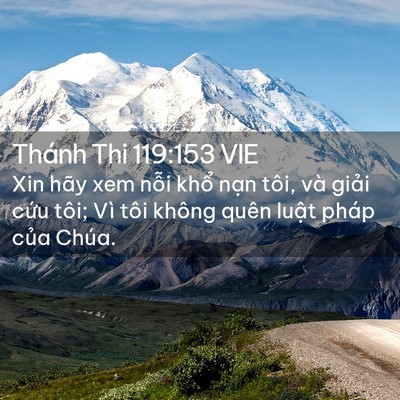 Picture 02 - Thánh Thi 119:153 VIE - Xin hãy xem nỗi khổ nạn tôi, và giải - Bible Verse Picture