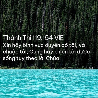Picture 02 - Thánh Thi 119:154 VIE - Xin hãy binh vực duyên cớ tôi, và chuộc - Bible Verse Picture