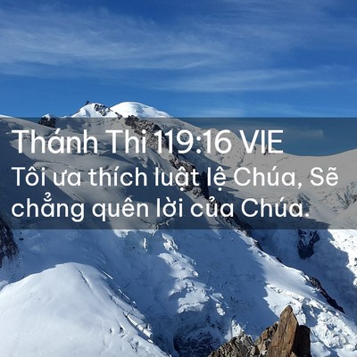Picture 02 - Thánh Thi 119:16 VIE - Tôi ưa thích luật lệ Chúa, Sẽ chẳng - Bible Verse Picture