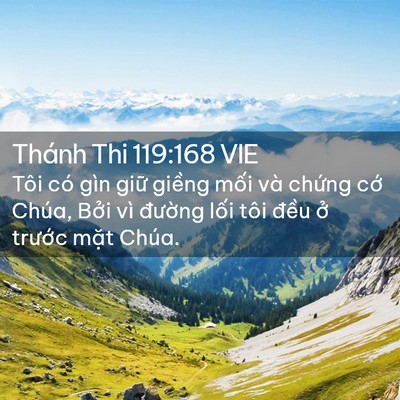 Picture 02 - Thánh Thi 119:168 VIE - Tôi có gìn giữ giềng mối và chứng - Bible Verse Picture