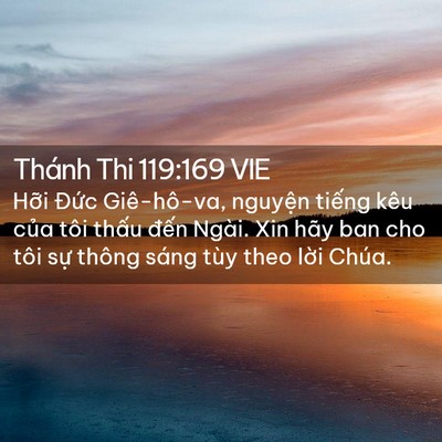 Picture 02 - Thánh Thi 119:169 VIE - Hỡi Đức Giê-hô-va, nguyện tiếng kêu - Bible Verse Picture
