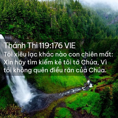 Picture 02 - Thánh Thi 119:176 VIE - Tôi xiêu lạc khác nào con chiên mất: Xin - Bible Verse Picture
