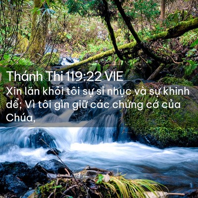Picture 02 - Thánh Thi 119:22 VIE - Xin lăn khỏi tôi sự sỉ nhục và sự - Bible Verse Picture