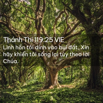 Picture 02 - Thánh Thi 119:25 VIE - Linh hồn tôi dính vào bụi đất, Xin hãy - Bible Verse Picture