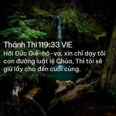 Picture 02 - Thánh Thi 119:33 VIE - Hỡi Đức Giê-hô-va, xin chỉ dạy tôi - Bible Verse Picture