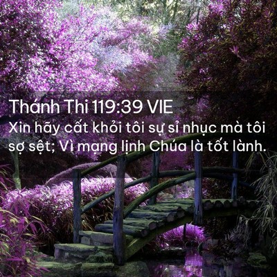 Picture 02 - Thánh Thi 119:39 VIE - Xin hãy cất khỏi tôi sự sỉ nhục mà - Bible Verse Picture