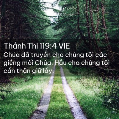 Picture 02 - Thánh Thi 119:4 VIE - Chúa đã truyền cho chúng tôi các giềng - Bible Verse Picture