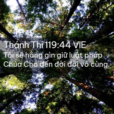 Picture 02 - Thánh Thi 119:44 VIE - Tôi sẽ hằng gìn giữ luật pháp Chúa - Bible Verse Picture