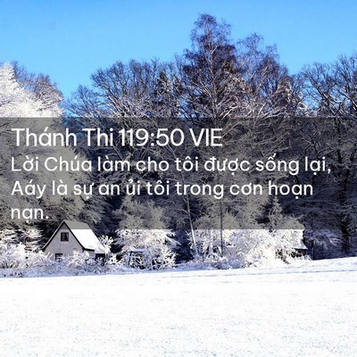 Picture 02 - Thánh Thi 119:50 VIE - Lời Chúa làm cho tôi được sống lại, - Bible Verse Picture