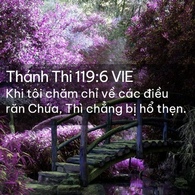 Picture 02 - Thánh Thi 119:6 VIE - Khi tôi chăm chỉ về các điều răn - Bible Verse Picture