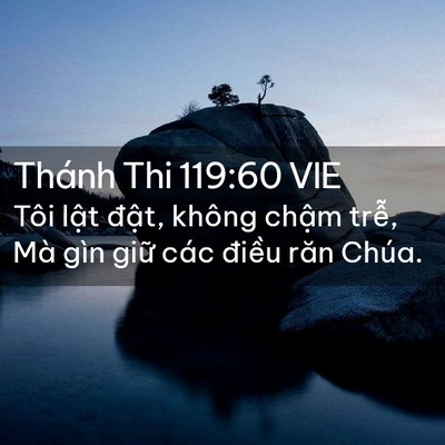 Picture 02 - Thánh Thi 119:60 VIE - Tôi lật đật, không chậm trễ, Mà gìn - Bible Verse Picture