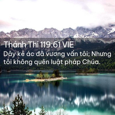 Picture 02 - Thánh Thi 119:61 VIE - Dây kẻ ác đã vương vấn tôi; Nhưng - Bible Verse Picture
