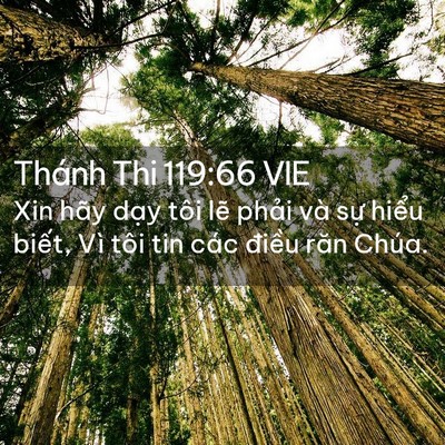 Picture 02 - Thánh Thi 119:66 VIE - Xin hãy dạy tôi lẽ phải và sự hiểu - Bible Verse Picture