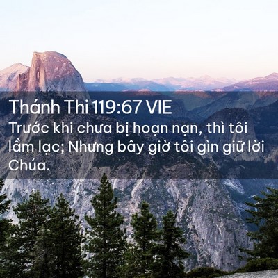 Picture 02 - Thánh Thi 119:67 VIE - Trước khi chưa bị hoạn nạn, thì tôi - Bible Verse Picture