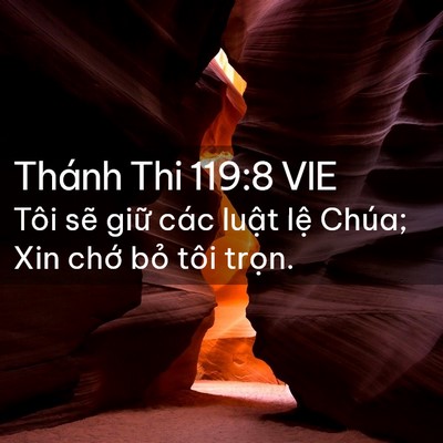 Picture 02 - Thánh Thi 119:8 VIE - Tôi sẽ giữ các luật lệ Chúa; Xin chớ - Bible Verse Picture