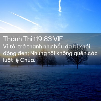 Picture 02 - Thánh Thi 119:83 VIE - Vì tôi trở thành như bầu da bị khói - Bible Verse Picture