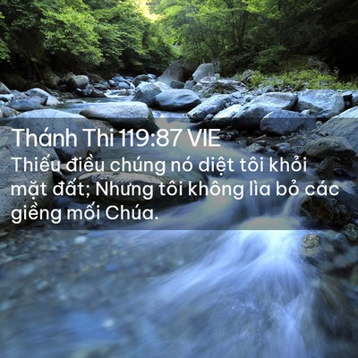 Picture 02 - Thánh Thi 119:87 VIE - Thiếu điều chúng nó diệt tôi khỏi - Bible Verse Picture
