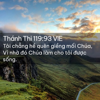 Picture 02 - Thánh Thi 119:93 VIE - Tôi chẳng hề quên giềng mối Chúa, Vì - Bible Verse Picture