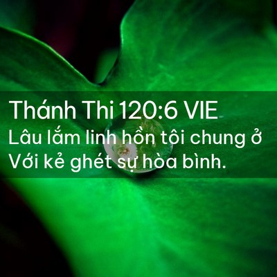 Picture 02 - Thánh Thi 120:6 VIE - Lâu lắm linh hồn tôi chung ở Với kẻ - Bible Verse Picture