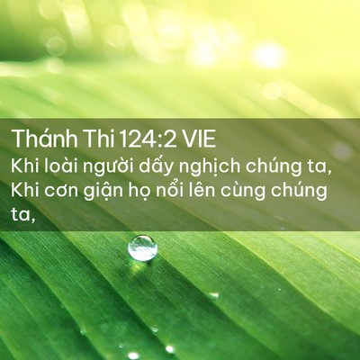 Picture 02 - Thánh Thi 124:2 VIE - Khi loài người dấy nghịch chúng ta, Khi - Bible Verse Picture