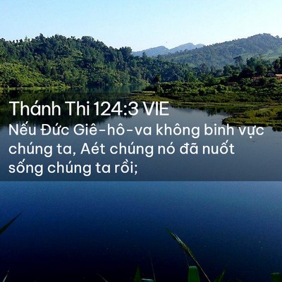 Picture 02 - Thánh Thi 124:3 VIE - Nếu Đức Giê-hô-va không binh vực chúng - Bible Verse Picture