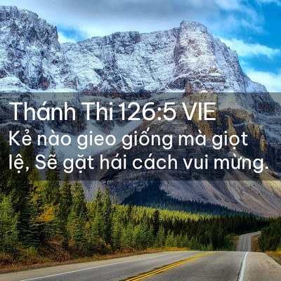 Picture 02 - Thánh Thi 126:5 VIE - Kẻ nào gieo giống mà giọt lệ, Sẽ - Bible Verse Picture