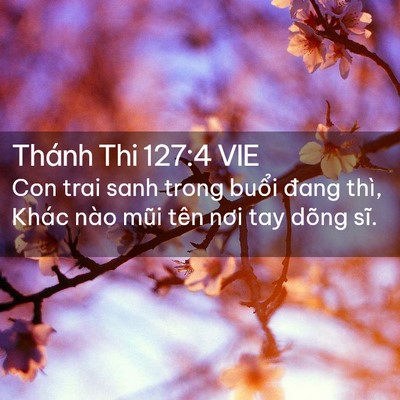 Picture 02 - Thánh Thi 127:4 VIE - Con trai sanh trong buổi đang thì, Khác nào - Bible Verse Picture