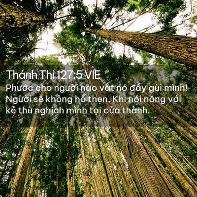 Picture 02 - Thánh Thi 127:5 VIE - Phước cho người nào vắt nó đầy gùi - Bible Verse Picture