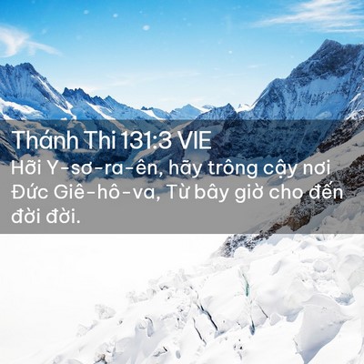 Picture 02 - Thánh Thi 131:3 VIE - Hỡi Y-sơ-ra-ên, hãy trông cậy nơi Đức - Bible Verse Picture