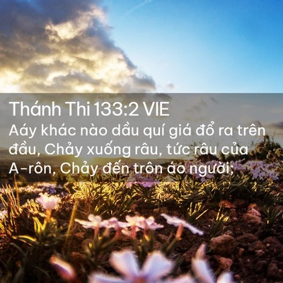 Picture 02 - Thánh Thi 133:2 VIE - Aáy khác nào dầu quí giá đổ ra trên - Bible Verse Picture
