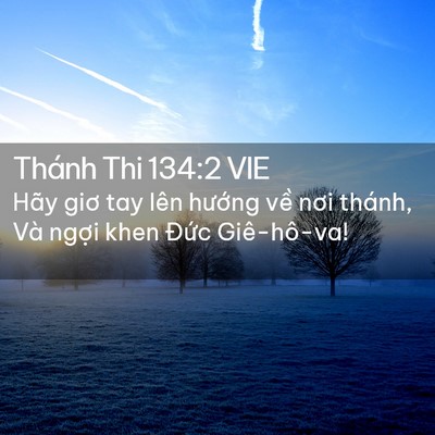 Picture 02 - Thánh Thi 134:2 VIE - Hãy giơ tay lên hướng về nơi thánh, Và - Bible Verse Picture