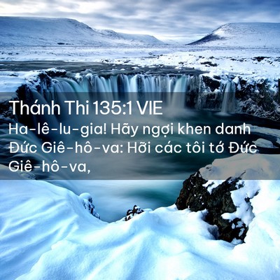 Picture 02 - Thánh Thi 135:1 VIE - Ha-lê-lu-gia! Hãy ngợi khen danh Đức - Bible Verse Picture