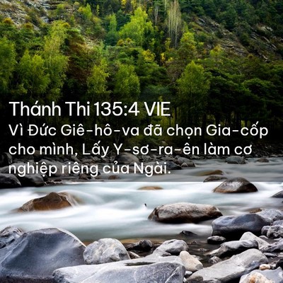 Picture 02 - Thánh Thi 135:4 VIE - Vì Đức Giê-hô-va đã chọn Gia-cốp cho - Bible Verse Picture