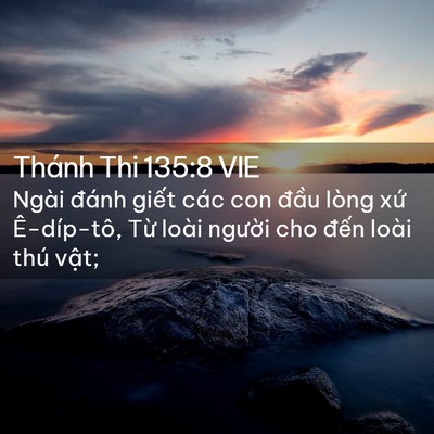 Picture 02 - Thánh Thi 135:8 VIE - Ngài đánh giết các con đầu lòng xứ - Bible Verse Picture