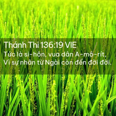 Picture 02 - Thánh Thi 136:19 VIE - Tức là si-hôn, vua dân A-mô-rít, Vì sự - Bible Verse Picture