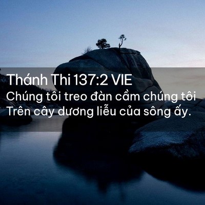 Picture 02 - Thánh Thi 137:2 VIE - Chúng tôi treo đàn cầm chúng tôi Trên - Bible Verse Picture
