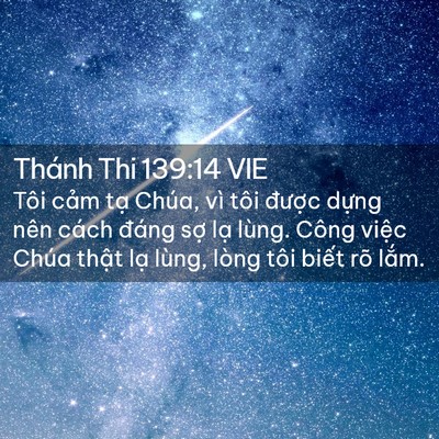 Picture 02 - Thánh Thi 139:14 VIE - Tôi cảm tạ Chúa, vì tôi được dựng - Bible Verse Picture